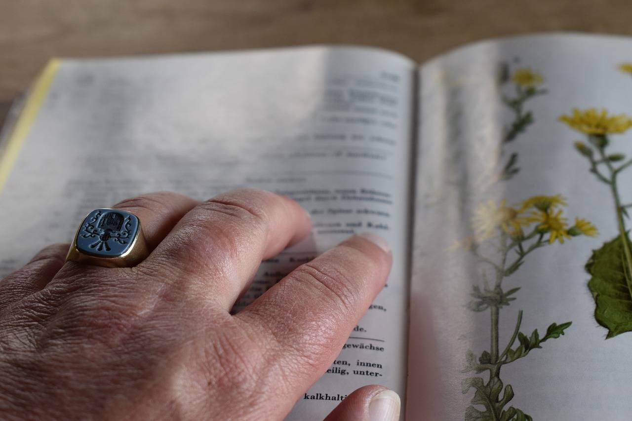 Supporting Students with Special Needs