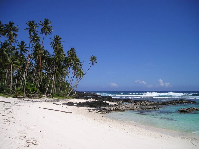 A Comprehensive Guide to Solo Female Travel Safety Tips