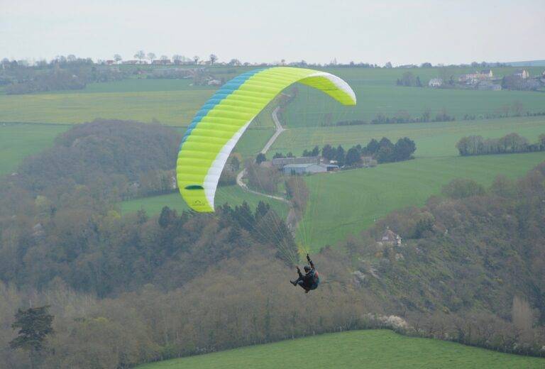 Exploring the Psychology of Celebrity Fandom Identity