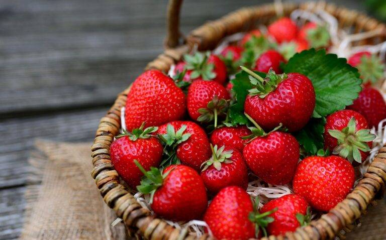 The Role of Food in Social Justice Movements: Addressing Food Disparities