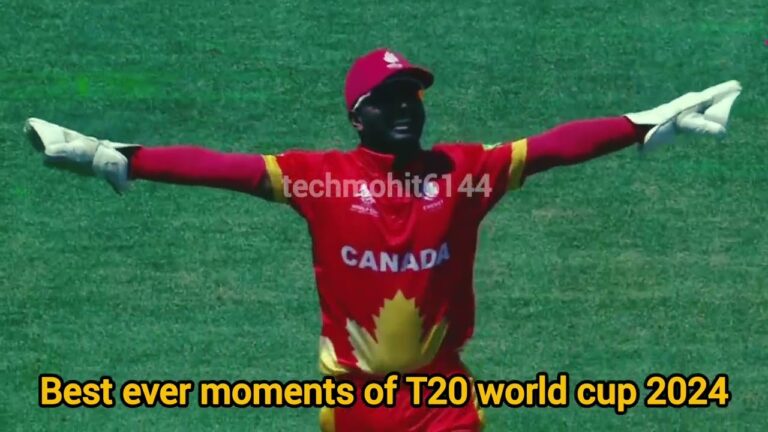 Yolo365: How to Use the Platform for Sports Betting and Casino Fun