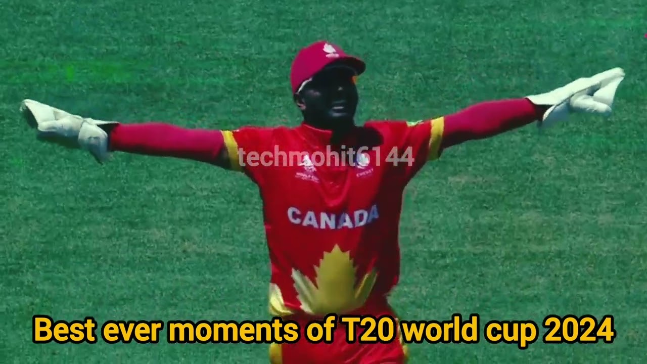 Yolo365, World777 ID, Diamondexch9, Gold365